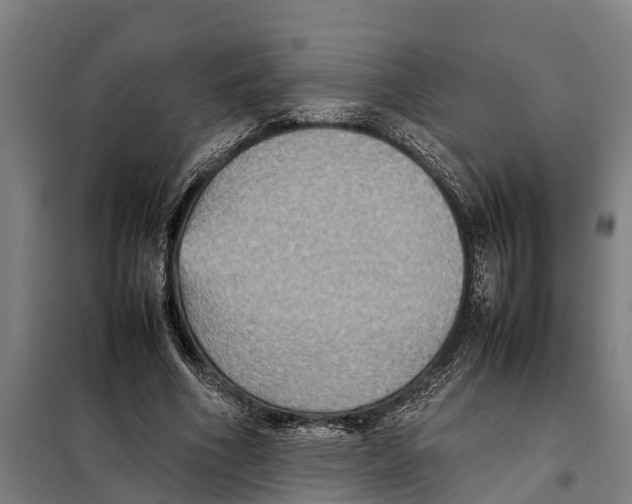 X0000098000586200804211133