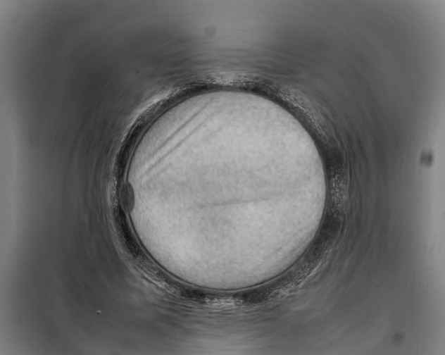 X0000098000587200804211133