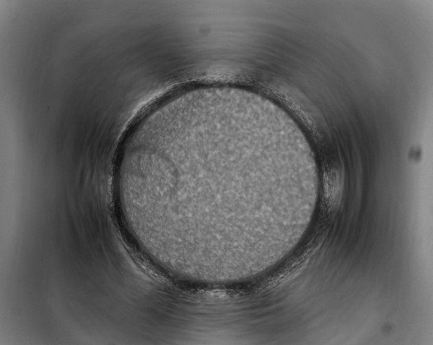 X0000098000588200804211133