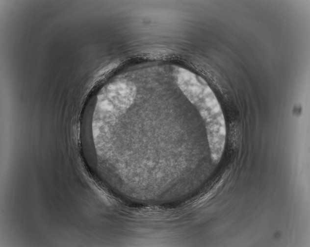 X0000098000589200804211133