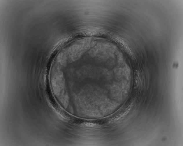 X0000098000590200804211133