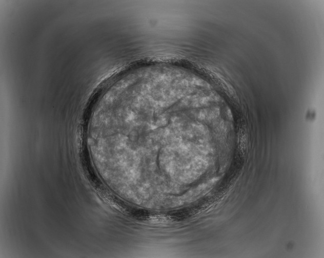 X0000098000591200804211133