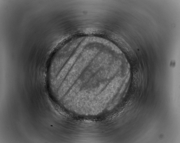 X0000098000592200804211133