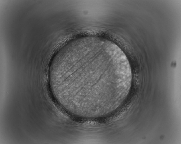 X0000098000593200804211133