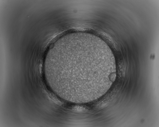 X0000098000596200804211133