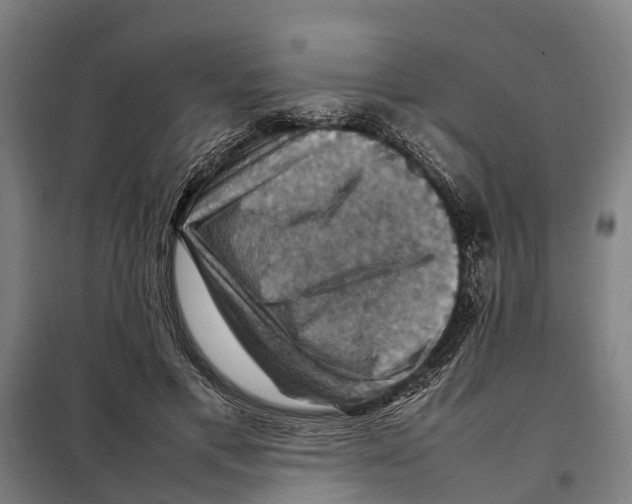 X0000098000597200804211133
