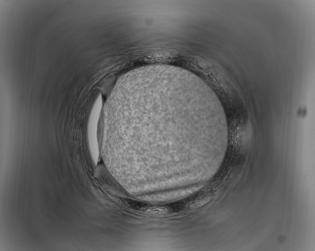 X0000098000599200804211133