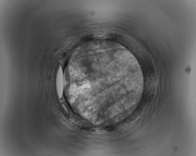 X0000098000601200804211133