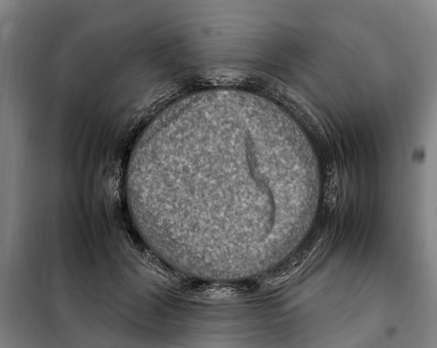 X0000098000604200804211133