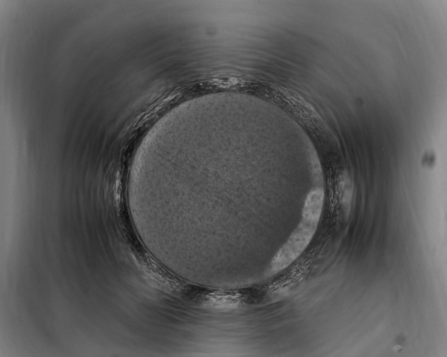 X0000098000606200804211133