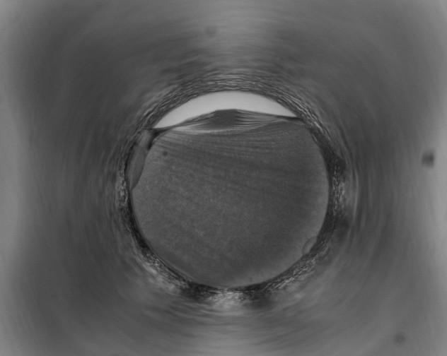 X0000098000609200804211133