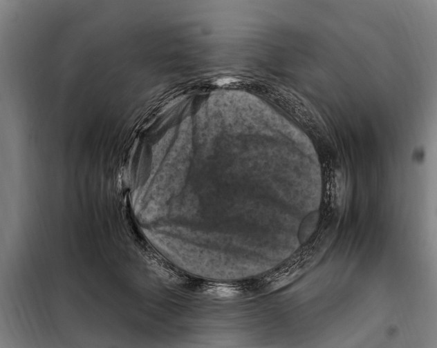 X0000098000610200804211133