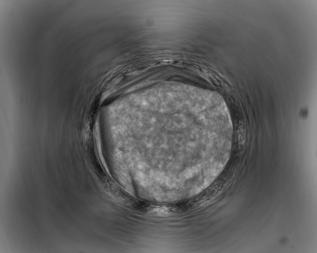X0000098000611200804211133