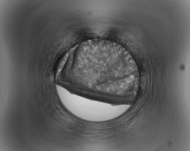 X0000098000613200804211133