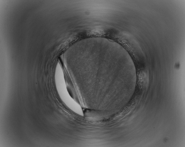 X0000098000617200804211133