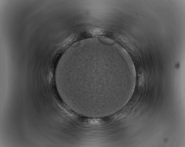 X0000098000618200804211133