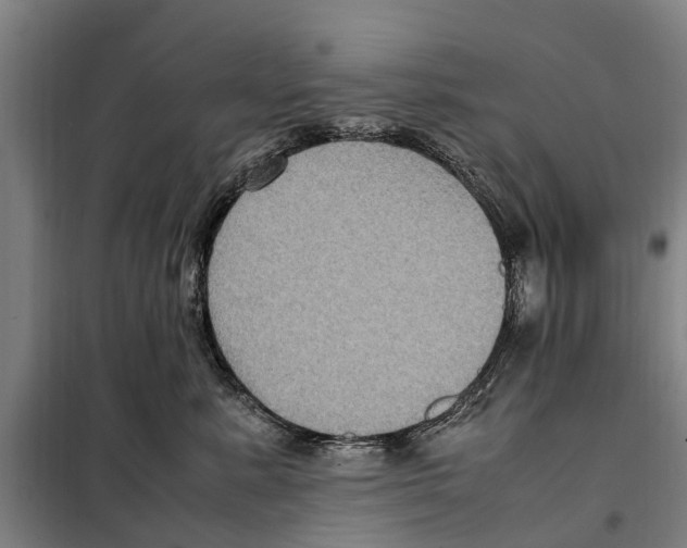 X0000098000619200804211133