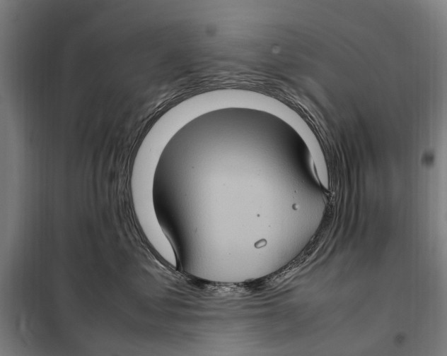 X0000098000621200804211133