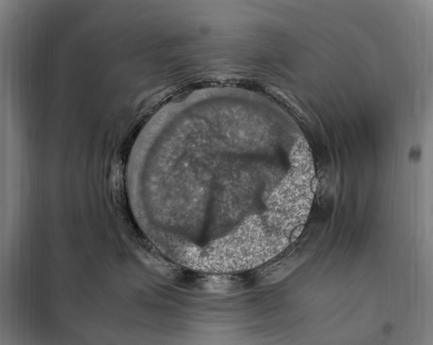 X0000098000623200804211133