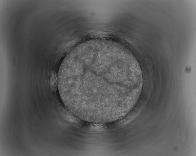 X0000098000624200804211133