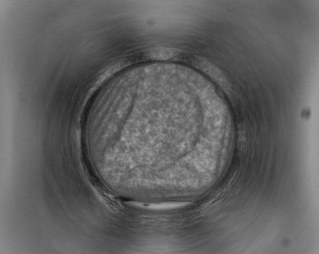 X0000098000626200804211132