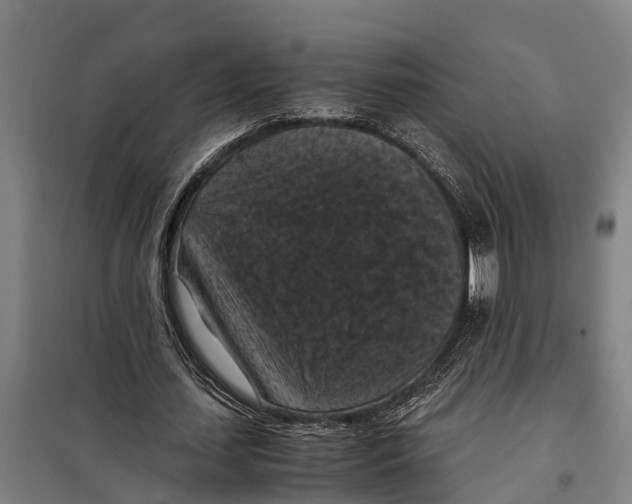 X0000098000627200804211132