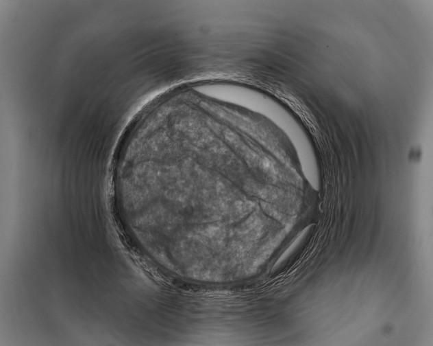 X0000098000628200804211132