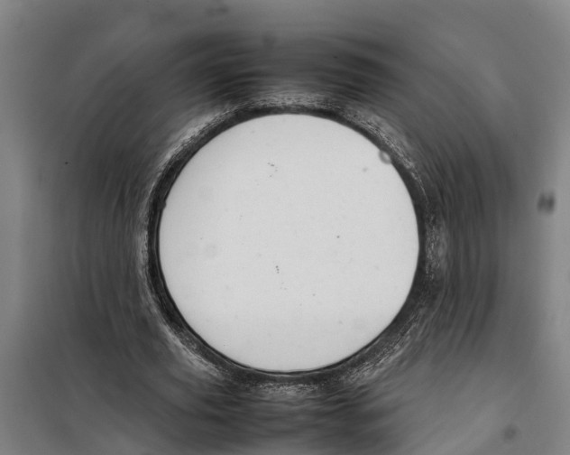 X0000098000629200804211132