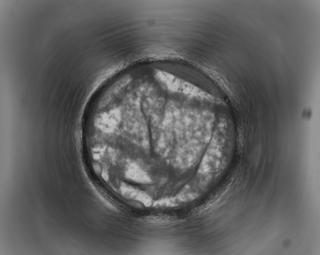 X0000098000630200804211132