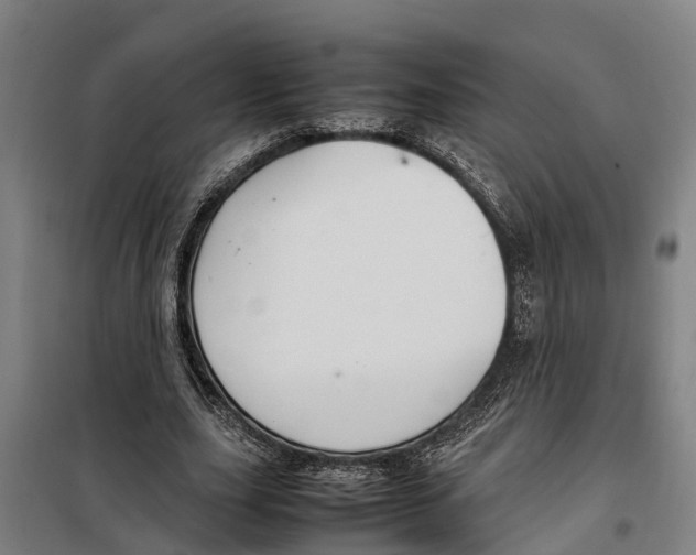 X0000098000631200804211132