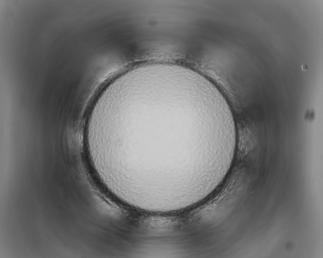 X0000098000632200804211132