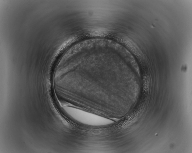 X0000098000634200804211132