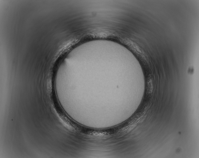 X0000098000638200804211132