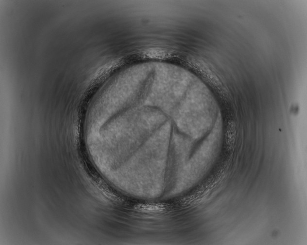 X0000098000639200804211132