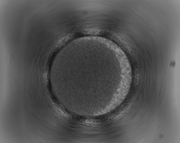 X0000098000641200804211132