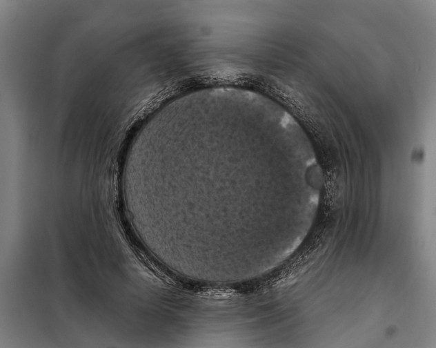 X0000098000642200804211132