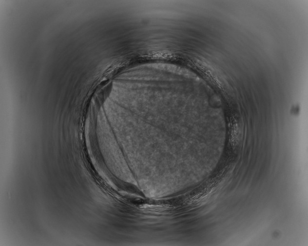 X0000098000643200804211132