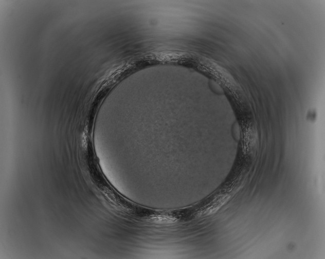 X0000098000644200804211132