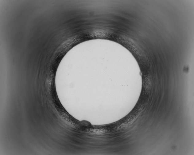 X0000098000645200804211132