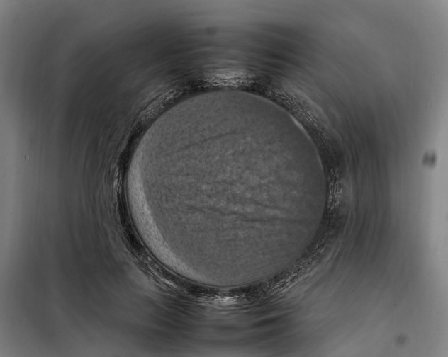 X0000098000647200804211132