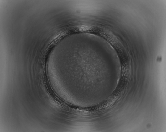 X0000098000648200804211132
