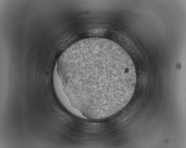 X0000098000649200804211132