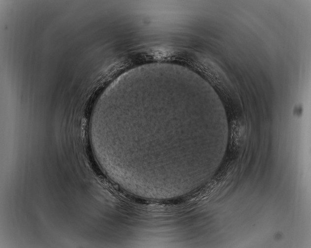 X0000098000650200804211132