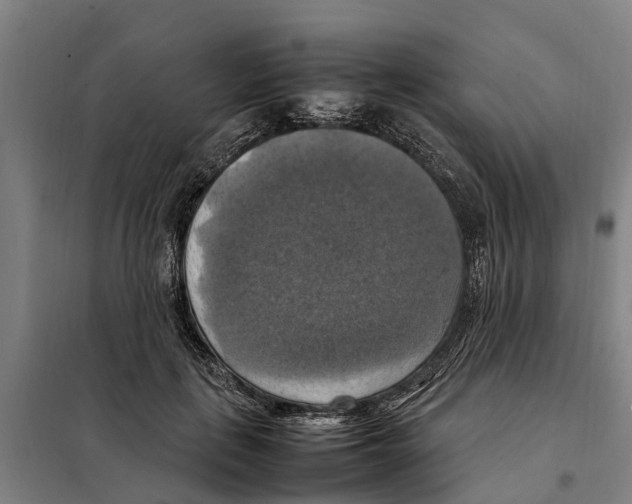 X0000098000651200804211132