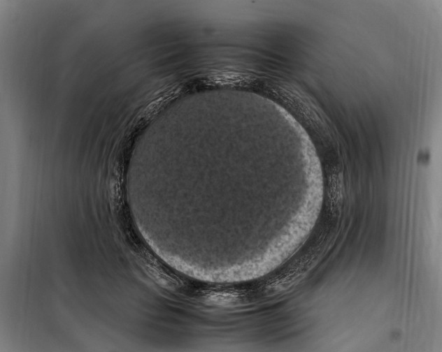 X0000098000653200804211132