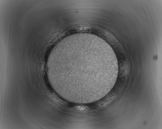 X0000098000654200804211132