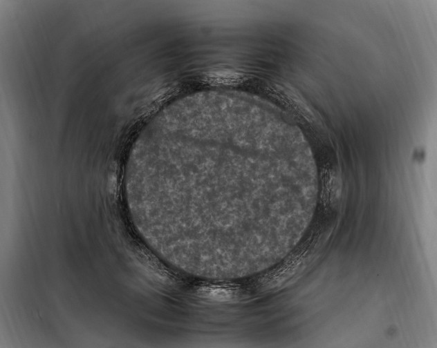 X0000098000655200804211132