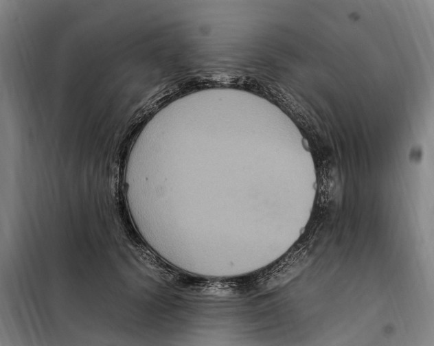 X0000098000656200804211132