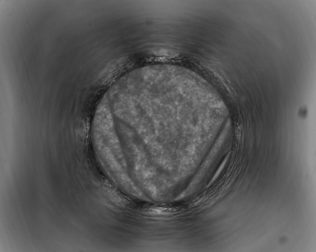 X0000098000657200804211132
