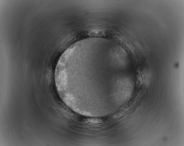 X0000098000659200804211132